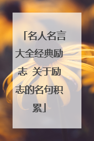 名人名言大全经典励志 关于励志的名句积累