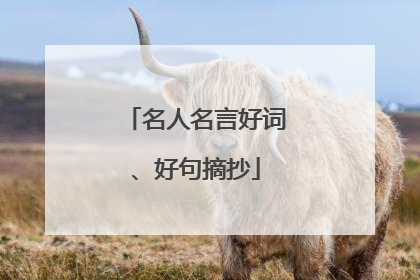 名人名言好词、好句摘抄