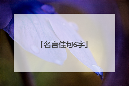 名言佳句6字