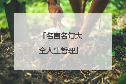 名言名句大全人生哲理