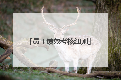 员工绩效考核细则
