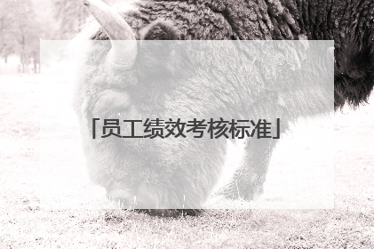 员工绩效考核标准