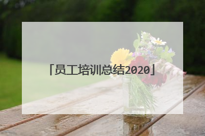 员工培训总结2020