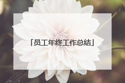 员工年终工作总结