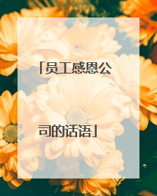 员工感恩公司的话语