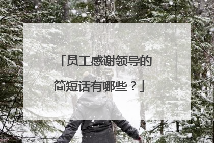 员工感谢领导的简短话有哪些？