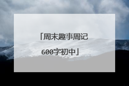周末趣事周记600字初中