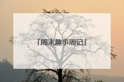 周末趣事周记