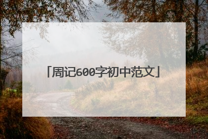 周记600字初中范文