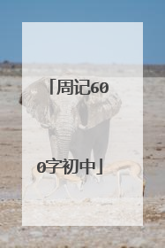 周记600字初中