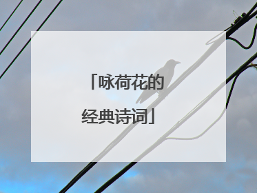 咏荷花的经典诗词