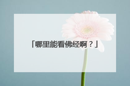 哪里能看佛经啊？