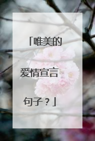 唯美的爱情宣言句子？