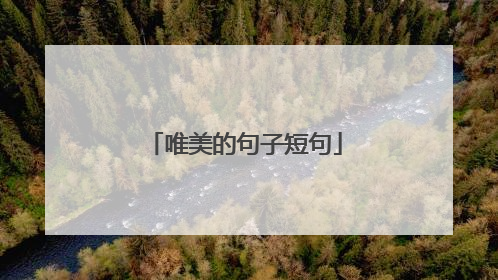 唯美的句子短句