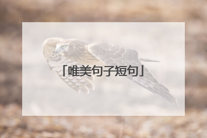 唯美句子短句