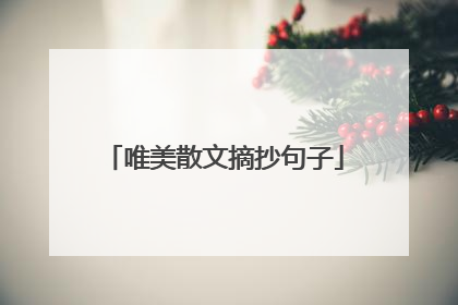 唯美散文摘抄句子