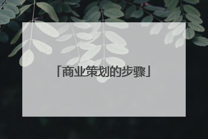 商业策划的步骤