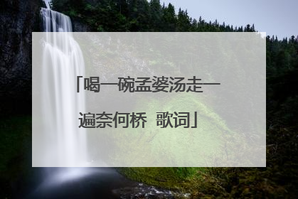 喝一碗孟婆汤走一遍奈何桥 歌词