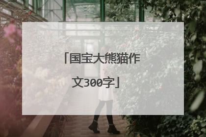 国宝大熊猫作文300字