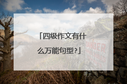 四级作文有什么万能句型?