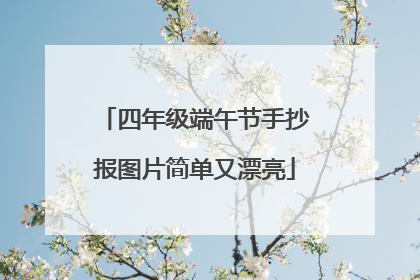 四年级端午节手抄报图片简单又漂亮