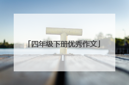 四年级下册优秀作文