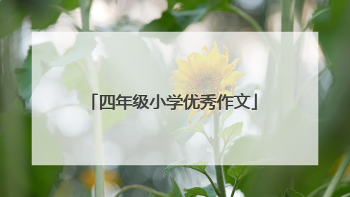 四年级小学优秀作文