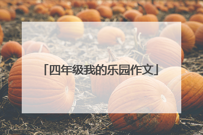 四年级我的乐园作文