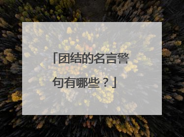 团结的名言警句有哪些？