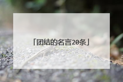 团结的名言20条