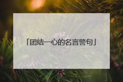 团结一心的名言警句