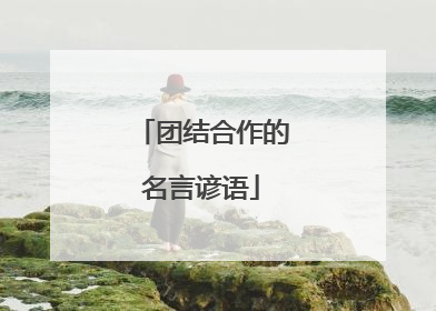 团结合作的名言谚语