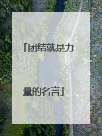 团结就是力量的名言