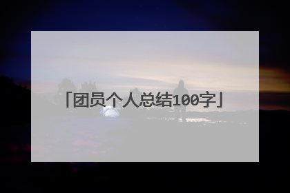 团员个人总结100字