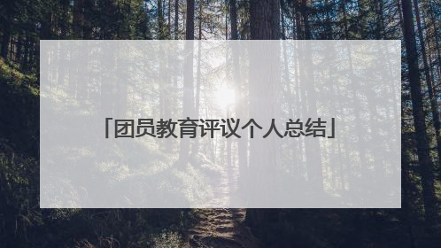 团员教育评议个人总结
