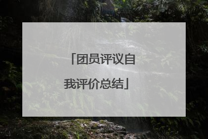 团员评议自我评价总结