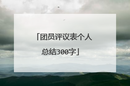 团员评议表个人总结300字