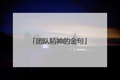 团队精神的金句