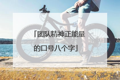 团队精神正能量的口号八个字