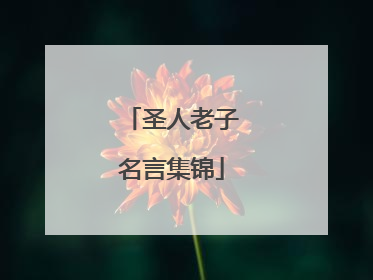 圣人老子名言集锦