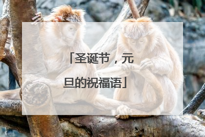圣诞节，元旦的祝福语