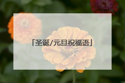 圣诞/元旦祝福语