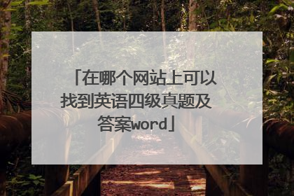 在哪个网站上可以找到英语四级真题及答案word