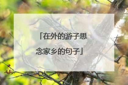 在外的游子思念家乡的句子