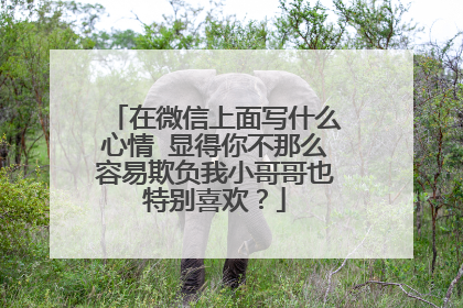 在微信上面写什么心情 显得你不那么容易欺负我小哥哥也特别喜欢？