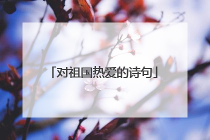 对祖国热爱的诗句