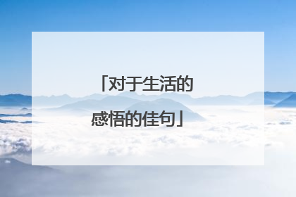 对于生活的感悟的佳句