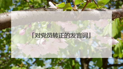 对党员转正的发言词