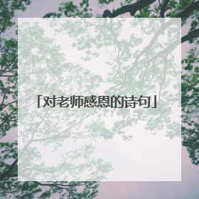 对老师感恩的诗句