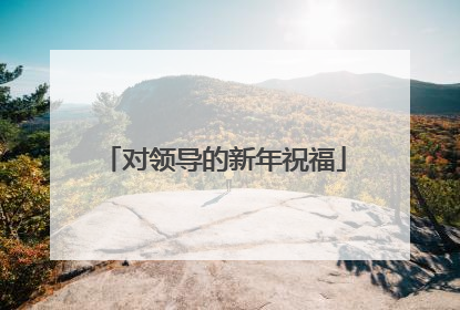 对领导的新年祝福